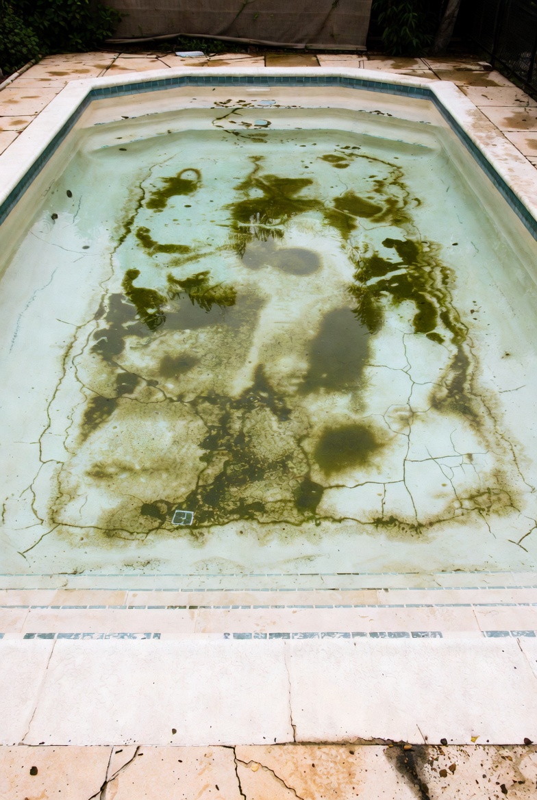 A St. George pool well past its resurfacing window — staining, algae, surface cracks, and substrate damage all visible at once.